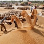 Fajnenšl Tajms: Svetske cene hrane prevazišle su novi rekord! Čeka nas povećanje broja gladnih