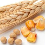 Šta li nas tek čeka posle izbora? U Srbiji poskupela soja, kukuruz i pšenica