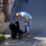 Sve više ludaka na ulicama! Manijak snimljen u Zemunu kako šutira ženu i njenog psa na sred ulice