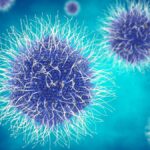 Nauka tvrdi! Otkriveno preko 5.500 novih virusa skrivenih u okeanu