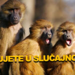 OTKRIVAMO: Širenje majmunskih boginja nije slučajno! Prošle godine održana je VEŽBA koja uključuje teroristički napad ovim VIRUSOM