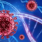 Američka i EU administracija znaju kada kreće novi talas koronavirusa?