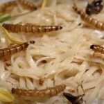 Hrana budućnosti: Zamenom mesa insektima smanjilo bi se globalno zagrevanje za 80%