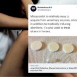 HIT! Levičarski portal VICE koji je ismejavao one koji su koristili Ivermektin zagovara upotrebu konjskih lekova za abortuse