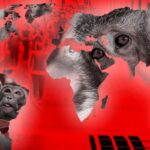 Majmunske boginje su izazvale KLIMATSKE PROMENE kaže epidemiolog koji tvdi i da je rast ljudske populacije jedan od uzroka