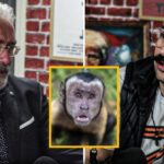 NESTOROVIĆ u BUNKERU otkrio sve ono što je danas zabranjeno u medijima! Mario ZNA i doktor rasturili SZO i SEF