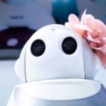 Njujork će početi da poklanja “ROBOT PRATIOCE” starijim osobama