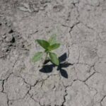 Francuska ograničava upotrebu vode