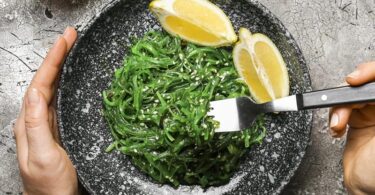 Svetski Ekonomsi Forum preporučuje da umesto mesa jedete alge i kaktuse