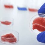 Vizuelni vodič kroz nauku mesa UZGAJANOG U LABORATORIJI