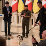 Zelenski ismejava Dan Pobede nad fašizmom! Uručio orden ni manje ni više nego psu (VIDEO)