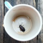 Kada vam kažu da pijete čaj ne kažu vam da u jednoj kesici ima tragova do 400 INSEKATA