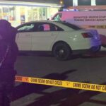 Nova pucnjava u Americi, ima mrtvih- Da li je ovo plan Duboke Države za RAZORUŽAVANJE AMERIKANACA