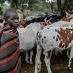 NAUČNICI "savetuju" Afrikance kako da prevaziđu klimatske promene: PUSTITE IH DA JEDU BUBE