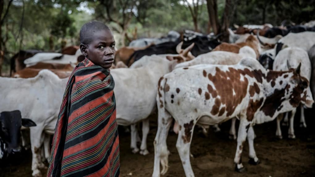  NAUČNICI “savetuju” Afrikance kako da prevaziđu klimatske promene: PUSTITE IH DA JEDU BUBE
