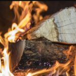 Češki zvaničnik: Ložićemo sve što možemo da se ljudi ugreju- Energetska kriza je dobra za sprovođenje KLIMATSKE AGENDE