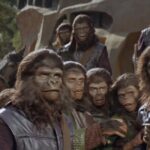 OSTRVO MAJMUNA?! U Velikoj Britaniji u jednom danu otkriveno 77 slučaja majmunskih boginja!