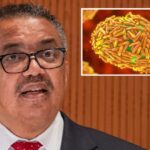 SZO upravo procenjuje da li da proglasi vanrednu situaciju zbog MAJMUNSKIH BOGINJA