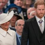 Ekolozi napali ekologe- Princ Hari i Megan Markl na meti kritika zbog kršenja obećanja: "Treba ih uhapsiti"