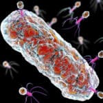 CDC tvrdi da je otkrio dva slučaja oboljenja od NOVE opasne bakterije- 2014 "procurila" iz LABORATORIJE