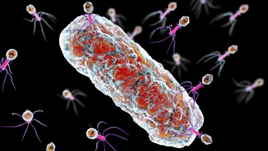  CDC tvrdi da je otkrio dva slučaja oboljenja od NOVE opasne bakterije- 2014 “procurila” iz LABORATORIJE