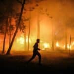 NOVI izveštaj SZO-a govori da je u Španiji i Portugaliji umrlo 1700 ljudi zbog vrućina