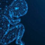 Veštačka inteligencija kao dečiji mozak? Softver razmišlja kao tromesečna beba