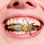 Otkrivamo: Ovo je Rokfelerov savršen plan za "savršen reset" sistema ishrane