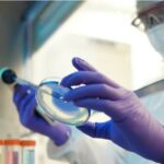 Rusija iznosi nove tvrdnje o biolaboratorijima u Ukrajini koje je finansirao Hanter Bajden