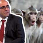 Đuka se hvali četvrtom dozom na INSTAGRAMU! Sprema se da primi vakcinu protiv MAJMUNSKIH BOGINJA?!