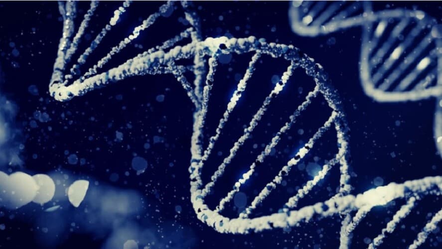  Upozorenje u Americi: Privatne baze podataka DNK lako mogu biti hakovane i korištene za pravljenje BIOLOŠKOG ORUŽJA
