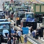 Klimatska agenda nametnuta holandskim farmerima će uništiti njihov život