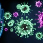 Studija: Prirodni imunitet 97% efikasan protiv teškog COVID-19 nakon 14 meseci