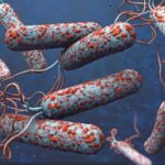 Sećate se Vuhana? Sada je institut iz ovog grada prijavio prvi slučaj kolere