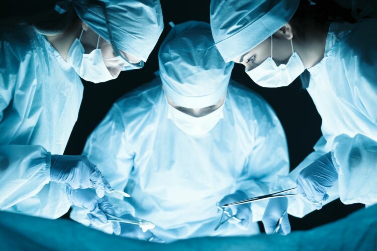  Medicinski stručnjaci u SAD-u traže dozvolu za presađivanje životinjskih organa u ljude