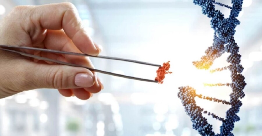  Igranje sa DNK! Naučnici obećavaju da će izlečiti nasledne bolesti “ispravljanjem” ljudskog DNK