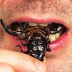 Nemojte jesti meso, nemojte da letite i štedite energiju- DOBRODOŠLI u karbonski nutraln SET