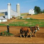 VELIKI RESET NIKOGA NE ŠTEDI: Farma Amiša pod pretnjom Američke savezne vlade zbog KLIMATSKE AGENDE
