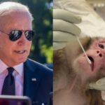 Bajdenova administracija proglasila vanredno stanje u Americi zbog MAJMUNSKIH BOGINJA