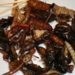 Avioprevoznici počinju da dodaju insekte u obroke tokom leta