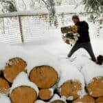 Nikada nije bilo ovako- HOLANĐANI hrle da kupuju drva za ogrev zbog najavljene krize