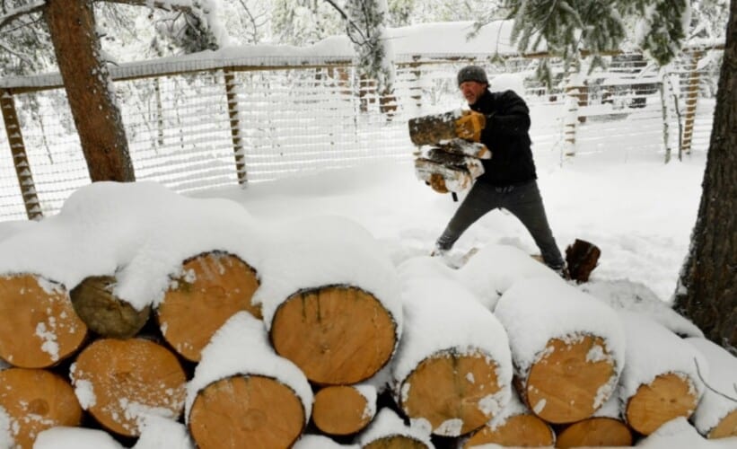  Nikada nije bilo ovako- HOLANĐANI hrle da kupuju drva za ogrev zbog najavljene krize