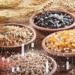 Koliko će suša uticati ne cene hrane u Srbiji