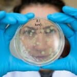 IZRAELCI stvorili prve sintetičke embrione na svetu- Sledeća faza stvaranje veštačkih ljudi?