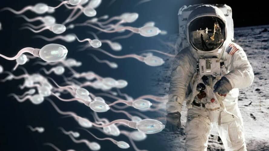  HIT upozorenje iz NASA-e: Nikako nemojte masturbirati u svemiru