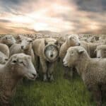 "BORBA protiv sistema nikada ne sme prestati, vreme je za SLEDEĆI NIVO"