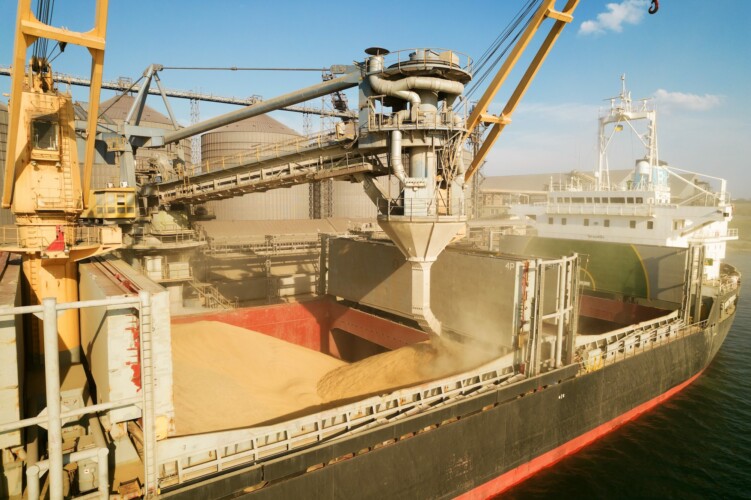 MSP Rusije otkriva: ukrajinski brodovi sa žitom ne idu ka Africi i ugroženom delom sveta već put ZAPADA