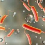 UN: U nekoliko regiona u Siriji se pojavila kolera