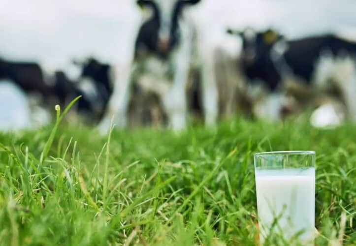  Ko kaže da Srbija kasni za Evropom?! U Španiji “tek sada” na pomolu kriza sa mlekom