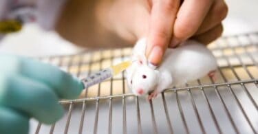 Testiranje novih vakcina na miševima PROPALO a odobrene su za davanje ljudima (Grafikon)